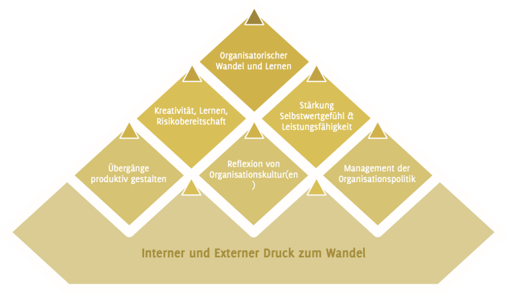 Grafik für Change als Führungsaufgabe