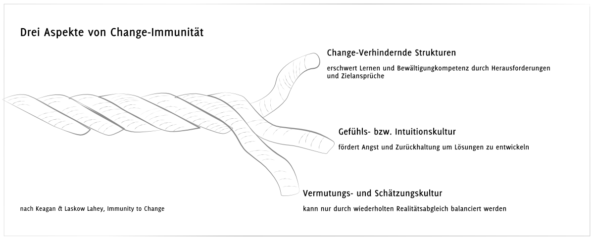 Change-Immunity nach Kegan & Laskow Lahey